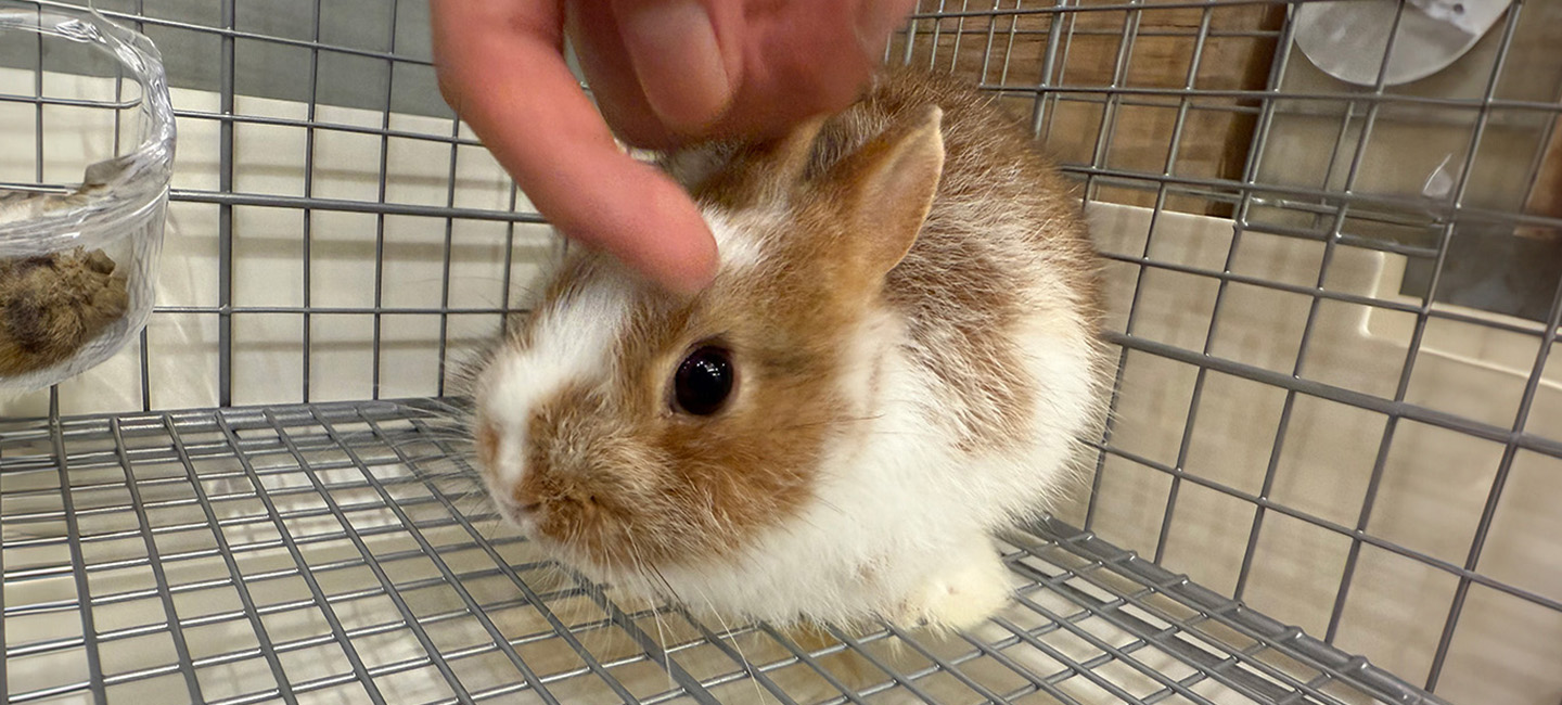 kleinegeluk_イメージ_2